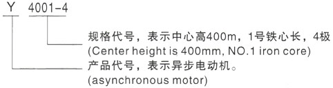 西安泰富西玛Y系列(H355-1000)高压聂荣三相异步电机型号说明