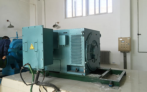 聂荣某水电站工程主水泵使用我公司高压电机